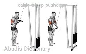 cable tricep pushdown